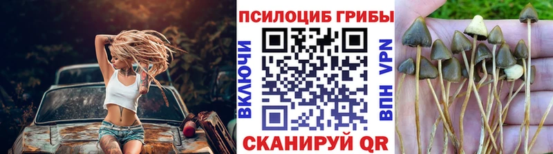 Галлюциногенные грибы мухоморы  наркотики  Гвардейск 